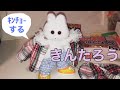 生活まとめ12 【きんたろう、ｷﾝﾁｮする】