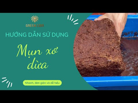 Video Xơ dừa - Hướng dẫn sử dụng bánh mụn xơ dừa - youtube