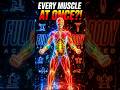 What If You Could Train Every Muscle at Once? ⚡😳 #shorts