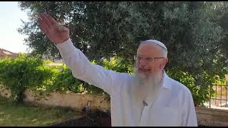 למה המאבק הזה נקרא בפי הערבים "חרב ירושלים" | הרב שמואל אליהו | הלכה יומית ט' בסיוון תשפ"א
