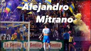 Celebrity Alejandro Mitrano Highlight 2023 Wealth