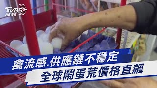 禽流感.供應鏈不穩定 全球鬧蛋荒價格直飆｜TVBS新聞@TVBSNEWS01