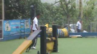 Combinado Gaya 7 Etapa