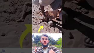 "This Unknown Creature Was Caught on Camera 😱 | Scariest Mystery Ever" #horror #mystery