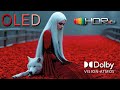 Colors That Pop Off the Screen – 4K HDR Dolby Vision Showcase