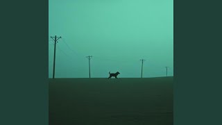 Nope, Nothing Wrong Here (Cujo's Story)