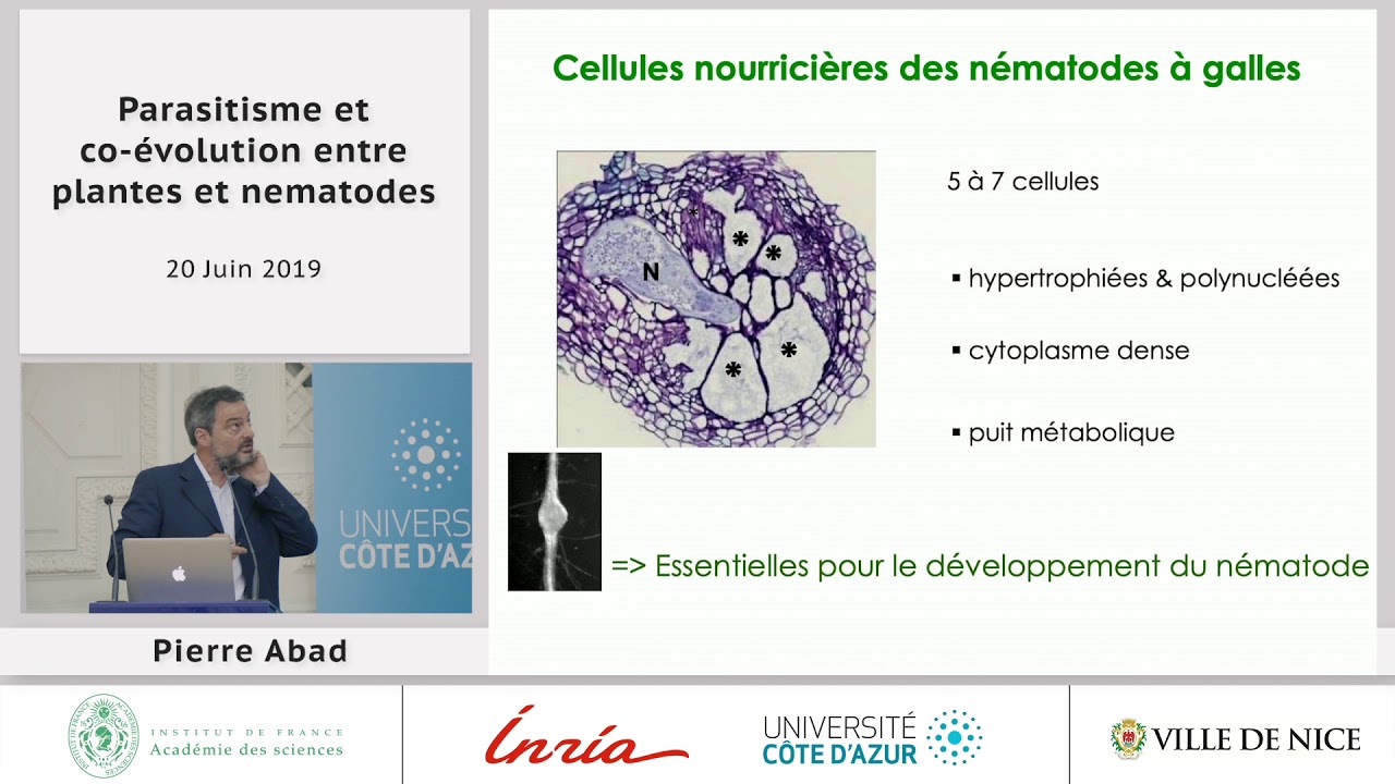 [Conférence] P. ABAD - Parasitisme et co-évolution entre plantes et nématodes