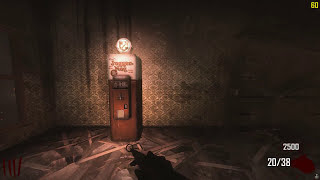 Black Ops 2 Zombies - Town Survival PC Gameplay - Max Settings 4K 60FPS