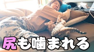 気持ちよく熟睡していたはずが、大事な所を嗅がれて噛まれて悶絶
