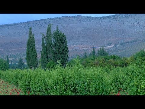 بلدة الباسوطة في ريف حلب طبيعة خلابة ومناظر تجذب الأهالي لزيارتها