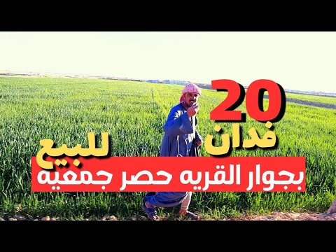 عرض ما يتفوتش 20 فدان ارض زراعية للبيع مزروعين قمح بجوار القرية
