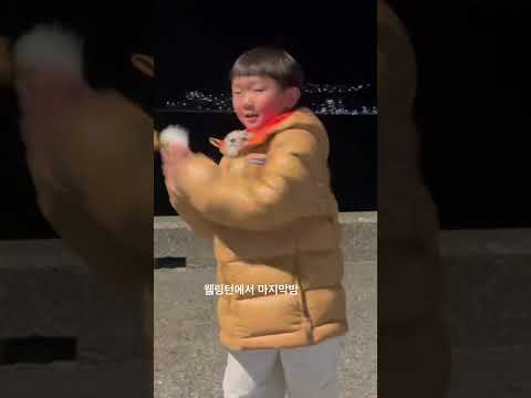 [🇳🇿 뉴질랜드 웰링턴] 여행 마지막 밤, 굿나잇 🤗