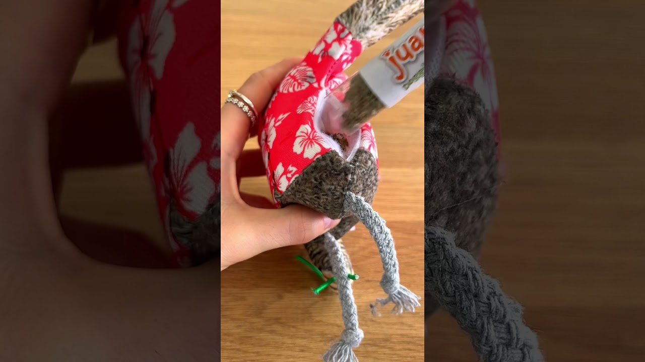 🌿 Crinkle, Kick, & Chill! | Meowijuana Jump ‘n’ Jamb Sloth 😻