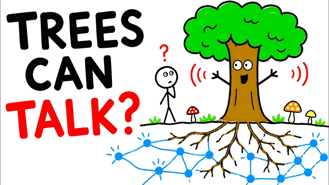 What If Trees Could Talk? The Hidden Network Beneath the Forest. #Trees #Nature #Forest #Educational