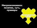 ЕГЭ 2024 ОБЩЕСТВОЗНАНИЕ | Микроэкономика суть примеры | Подготовка ЕГЭ 2024 Обществознание кратко |