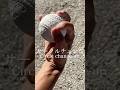 君が投げたいエース級の決め球は？ | Which Ace-Level Out Pitch Would You Throw？