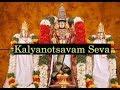 Sri venkateswara kalyanostavam live from tirumala  vega devotional stream