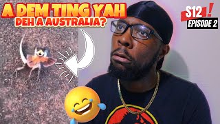 Sorry Australia, We Are Not Coming There! 🤣🤣🤣 [K2K REACTION S12 Ep #2]