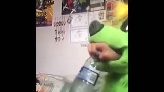 What My Furry Friends Do Daily I Think