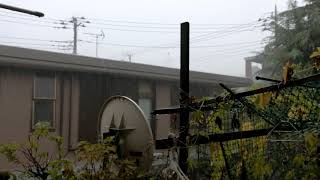 20170819 世田谷区　雷雨と雹