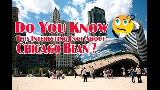 The bean Chicago! Chicago's Millennium Park -  Chicago Illinois USA | Indian Youtuber In America