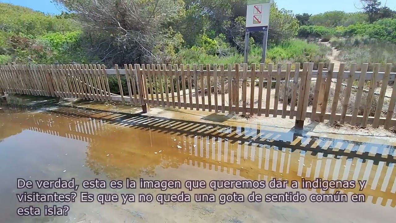 Es Cavallet, playa de Ibiza con Agustín Prades 2025-05-18