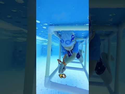 これはこれらのプロの人々が泳ぐ方法です 説明