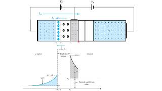 40 BJT Structure