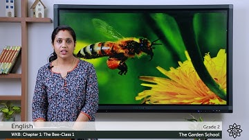 Grade 2 English WKB Chapter 1 Class 1 The Bee story