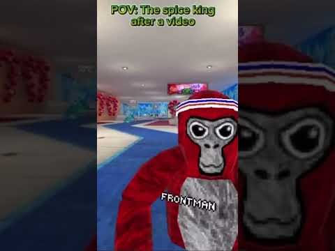 POV:The spice king after a video #fun #gorillatag #gtaggameplay #capcutedit
