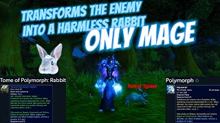 Famous Tome of Polymorph: Rabbit | Sold by Noblegarden Vendor | Polymorph transforms the enemy into rabbit Wealth