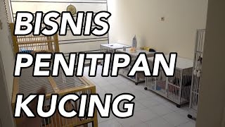 Tips Memulai Usaha Penitipan Kucing