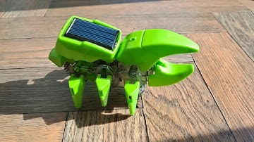 INSECT 4 in 1 Solar Dino Kit REVISITED 20210313