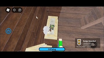 Mummy Kitten | Find the Kittens | Roblox