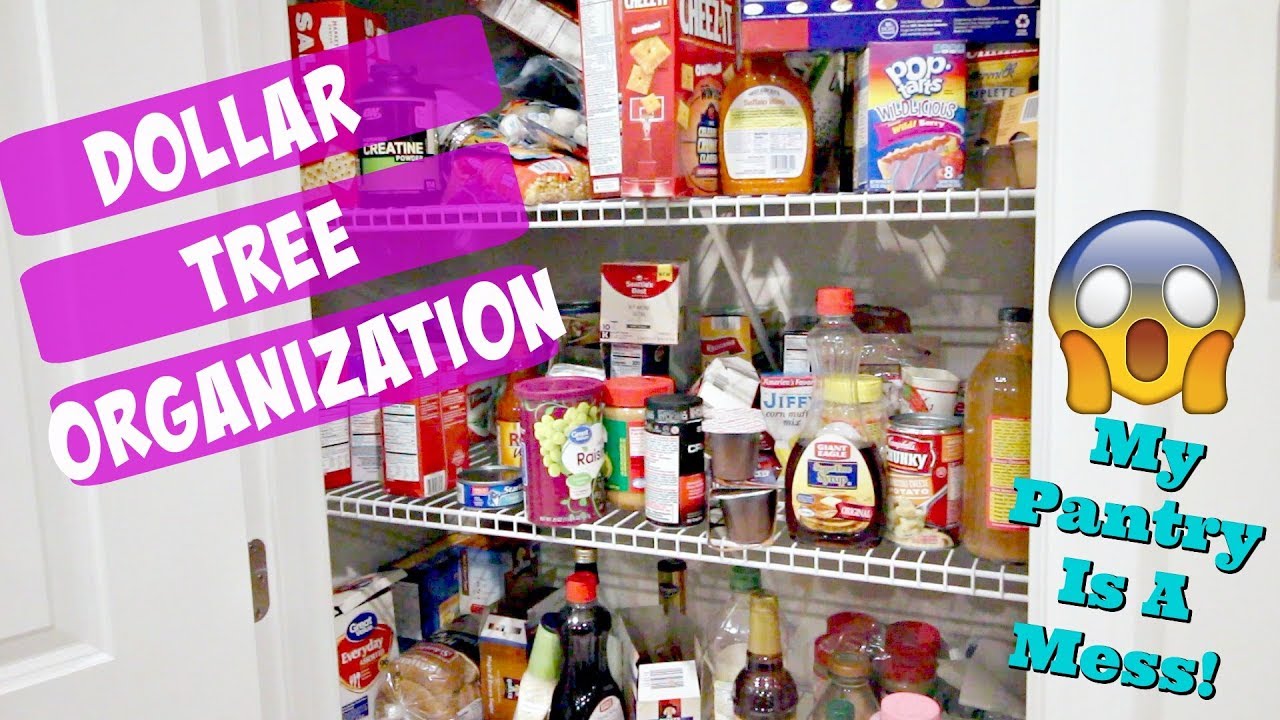 Dollar Tree Pantry Organization, Pantry Organization on a Budget - Joyfully  Treasured