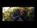Yo Yahri ft Sunwise - Petals by the Pond