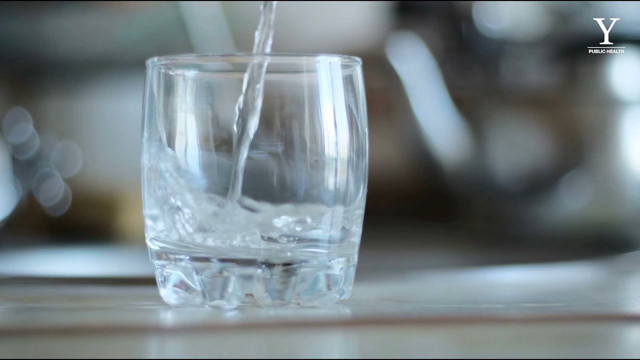 Yale Superfund Research Center