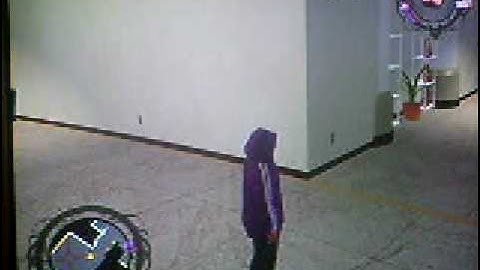 MTV saints row crib #3