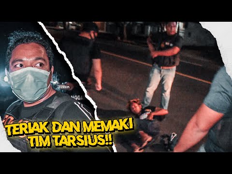 Video: Apakah spektral tarsius aktif di malam hari?