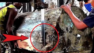 Suspenseful Cutting || The Biggest Very Dangerous Wood