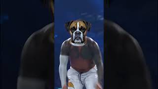 Can a Boxer REALLY Be a Good Service Dog?