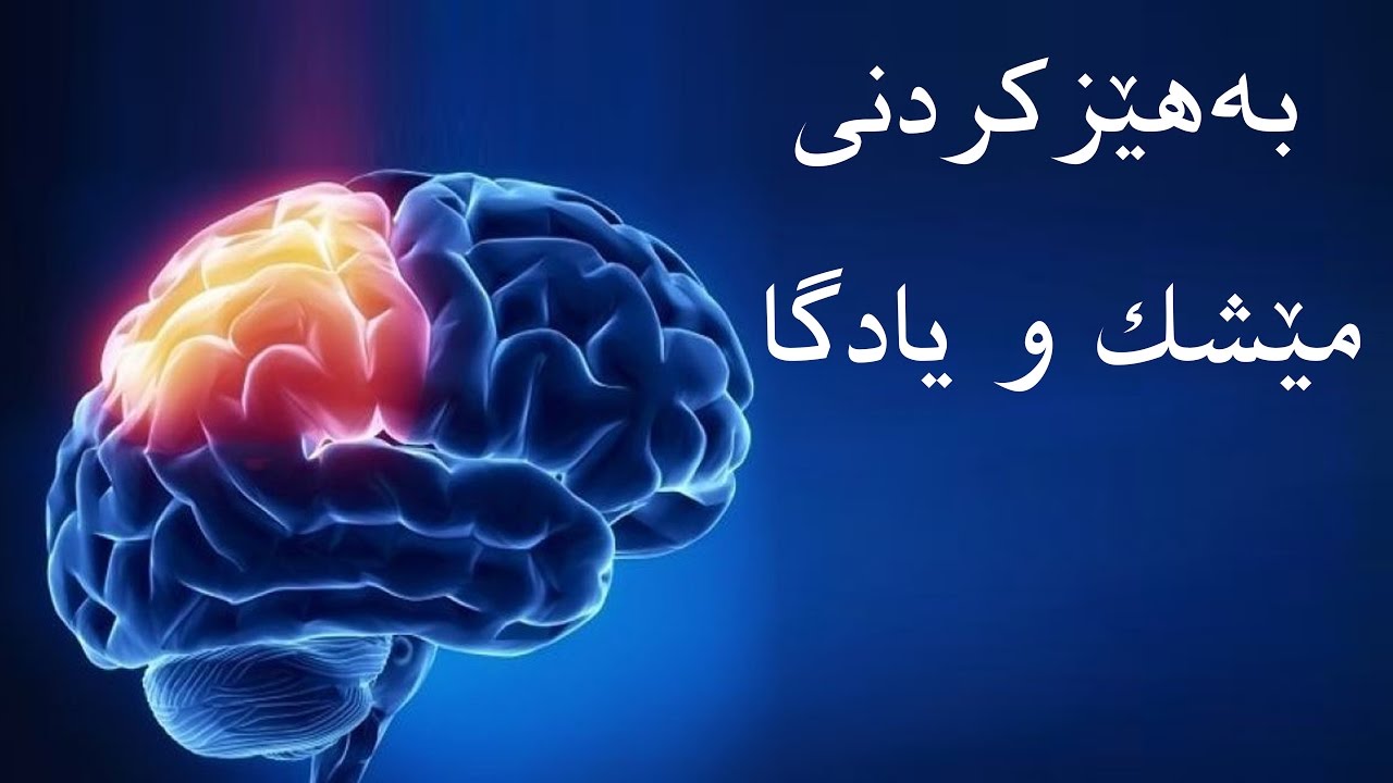 سیمیناری به‌ هێزكردنی مێشك و یادگا - م. ئاوات نه‌سروڵڵا