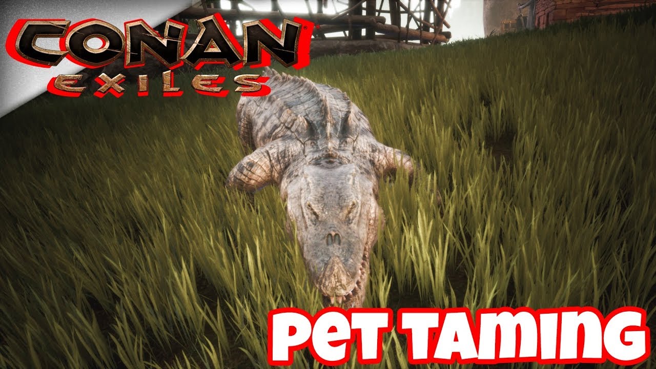 Conan Exiles: Pet taming tips - YouTube