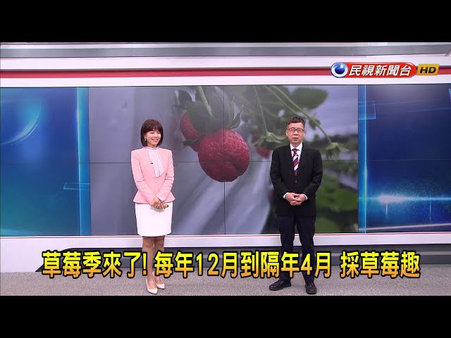 2024/1/9 【早安嘉芬】草莓季來了！ 每年12月到隔年4月 採草莓趣－民視新聞
