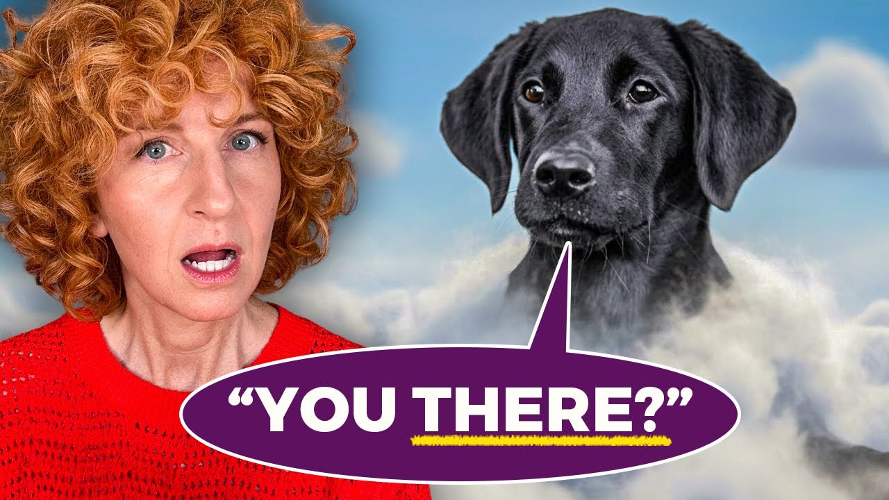 5 Powerful Messages From Pets After They Die