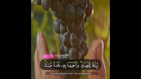 تلاوة رائعة جدا من القارئ اسلام صبحي 🥰😍 ونزلنا من السماء ماء مباركا.