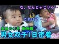 【1日密着】動物園へお出かけ!男女双子赤ちゃん生後10ヶ月Mix twins baby go out to the zoo