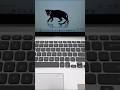 Ms word shortcut key tricks #viralvideo #shorts #short #computer #viralshorts #keyboard #laptop #yt