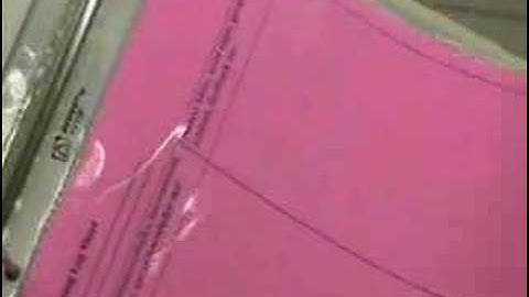 Portfolio Organization and Contents