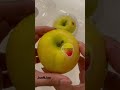 ASMR | TOKI Apples from Aomori, Japan. #asmr #shorts #JunNJan